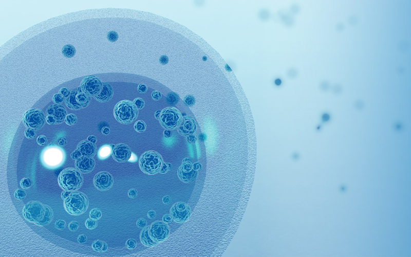 真菌感染快速检测