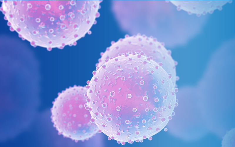 疱疹病毒快速检测